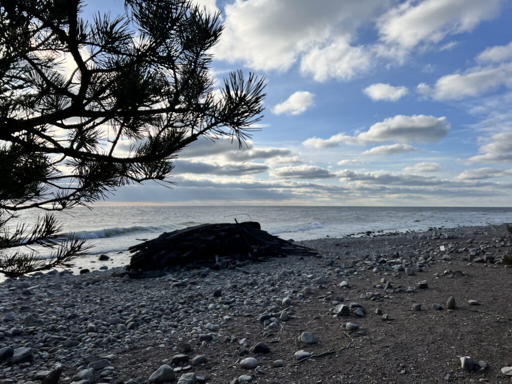 Swiks på stranden i Trollskogen